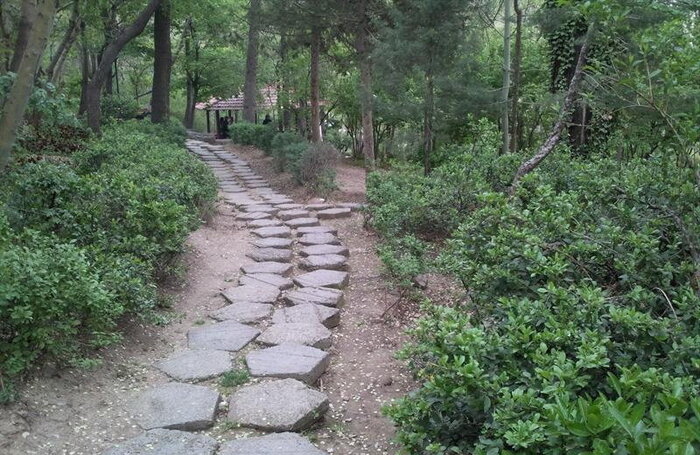 سهم بانوان از پارکهای پایتخت؛ آماری به تعداد انگشتان دست اما متناقض