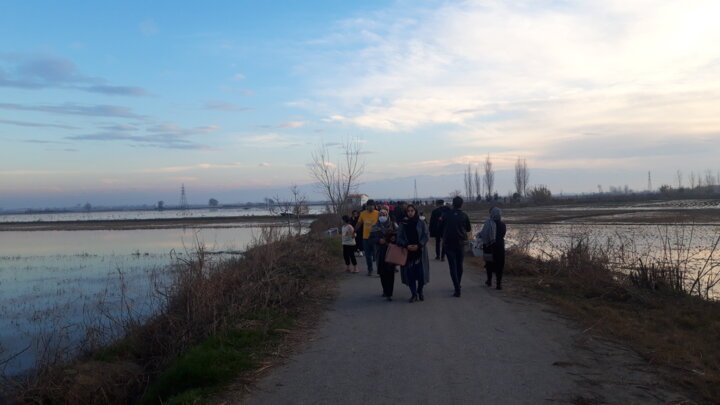 حال خوشِ پرندهنگری در تالاب سرخرود