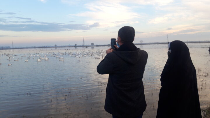 حال خوشِ پرندهنگری در تالاب سرخرود