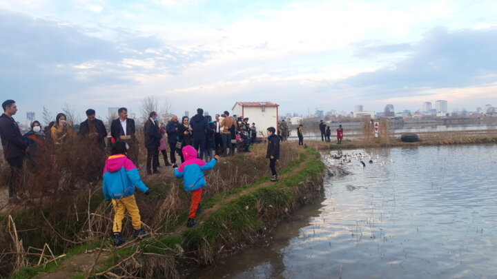 حال خوشِ پرندهنگری در تالاب سرخرود