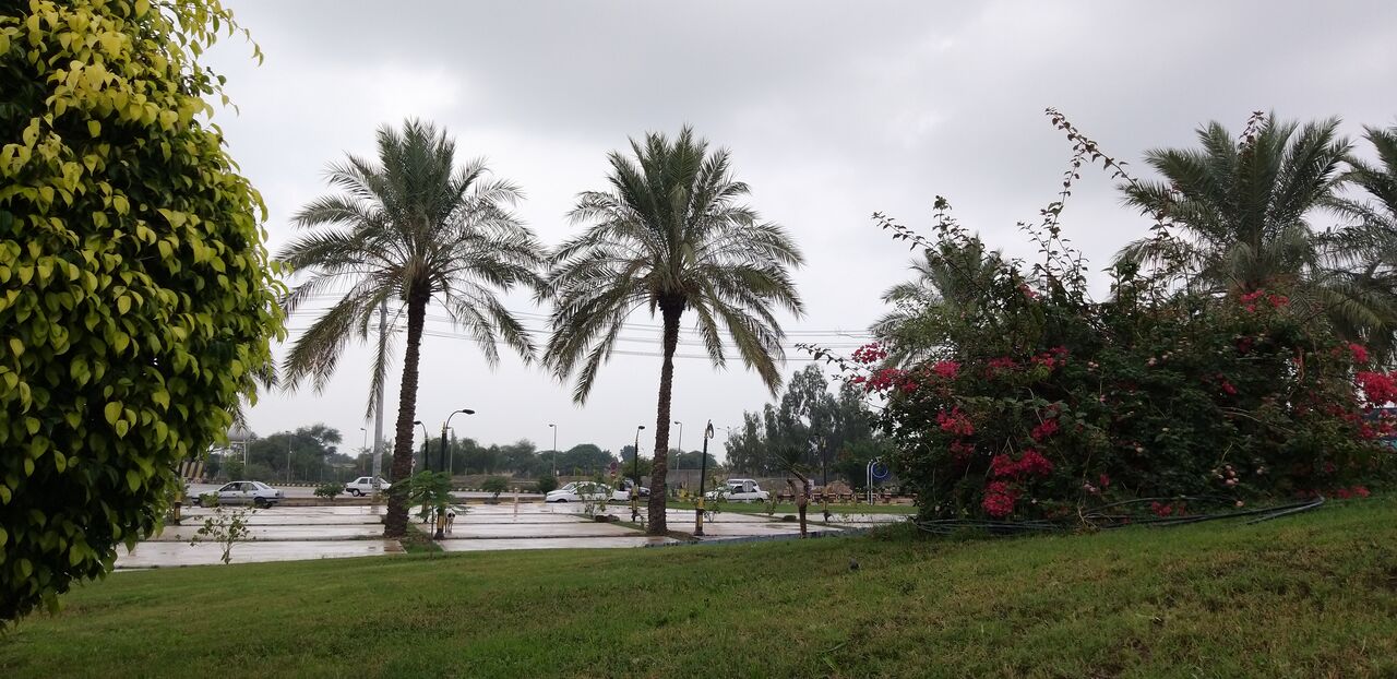 گناوه با ۵۲.۴ میلیمتر بیشترین سهم بارش را از سامانه اخیر در استان بوشهر داشت