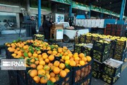 مدیر تعاون روستایی: ۷۵۰ تن میوه شب عید به کرمانشاه اختصاص یافت