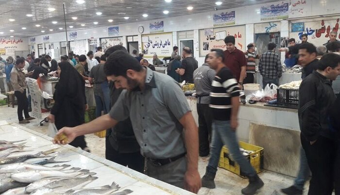 عوامل دخیل در قیمت ماهی، از شرایط جوی تا کاهش ذخایر و نبود اتحادیه