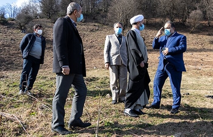 واقعیت واگذاری جنگلهای ماسال چیست؟