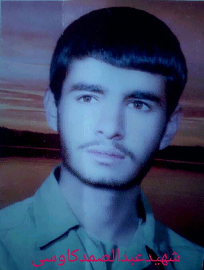 افزون بر ۷۰ هکتار از اراضی جنگلی آسیبدیده ارسنجان بذرکاری شد