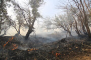 یک هزار هکتار جنگل و مرتع لرستان در آتش سوخت