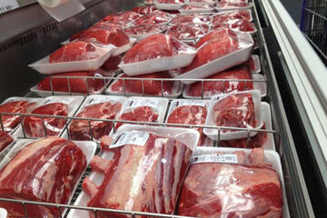 ۹۷ تن گوشت تنظیم بازار در خراسان جنوبی توزیع می‌شود