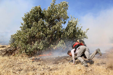 تشکل های مردمی علت آتش سوزی در مناطق زیست محیطی فارس را پیگیری می‌کنند