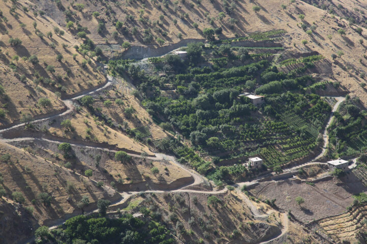 سند پیش‌نویس جنگل‌داری اجتماعی؛ راهکاری پایدار برای حفظ جنگل‌های زاگرس