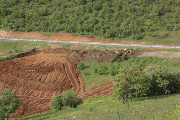 نابودی ۶ هزار درخت بلوط در ازای ۸ کیلومتر جاده