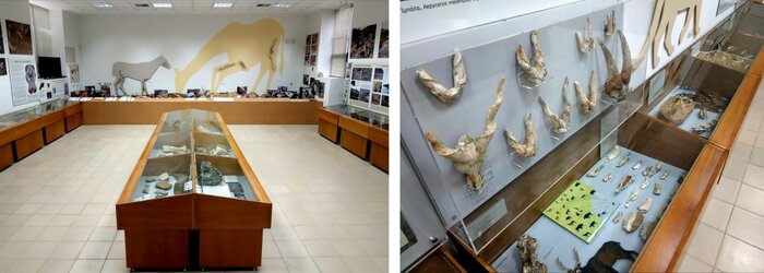 مطالعات منطقه فسیلی مراغه، ظرفیتی برای توسعه گردشگری