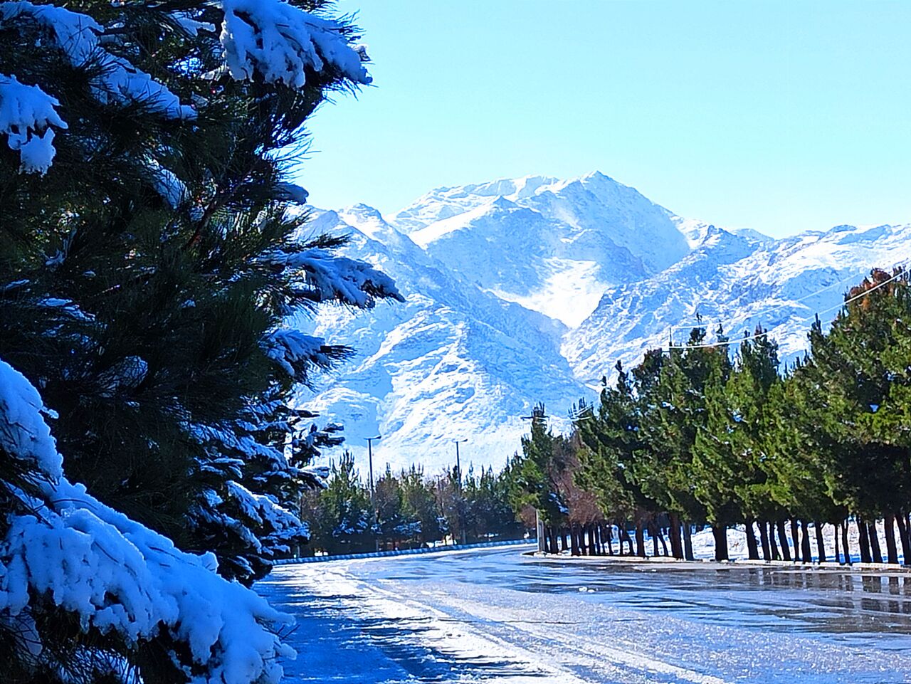 بارش برف مدارس اقلید را تعطیل کرد بارش برف مدارس اقلید را تعطیل کرد