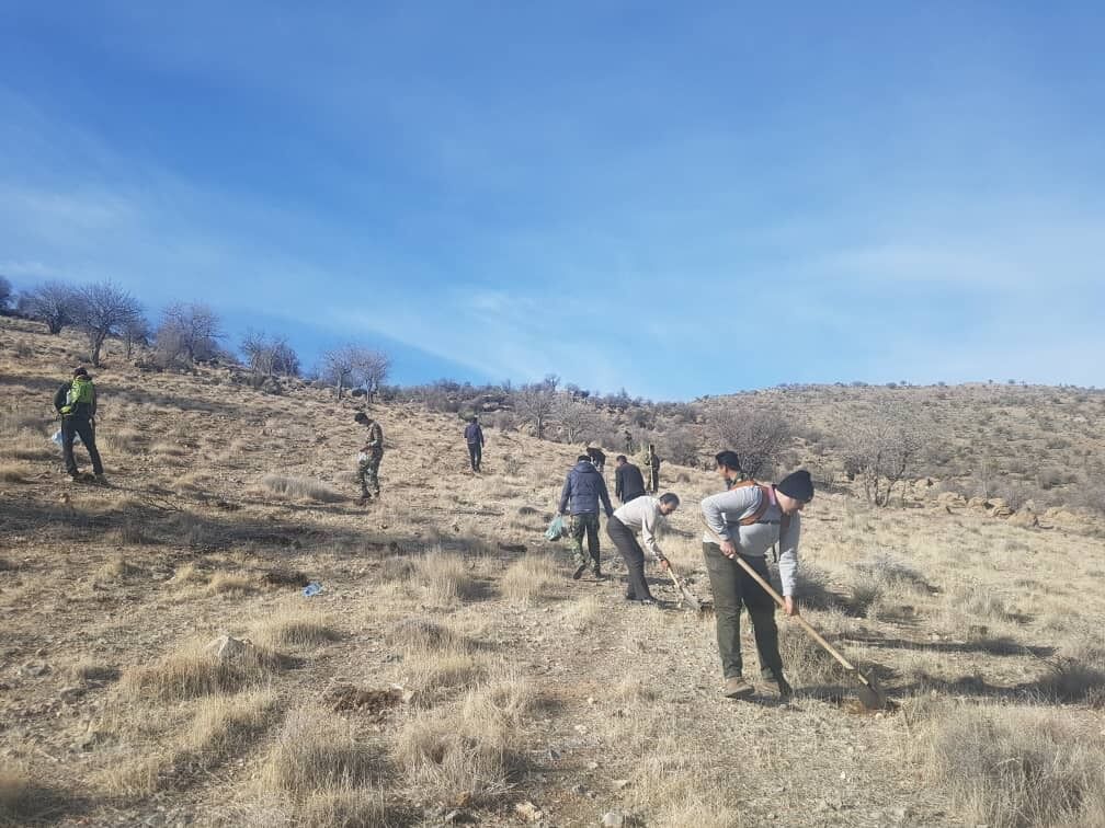 افزون بر ۷۰ هکتار از اراضی جنگلی آسیبدیده ارسنجان بذرکاری شد افزون بر ۷۰ هکتار از اراضی جنگلی آسیبدیده ارسنجان بذرکاری شد