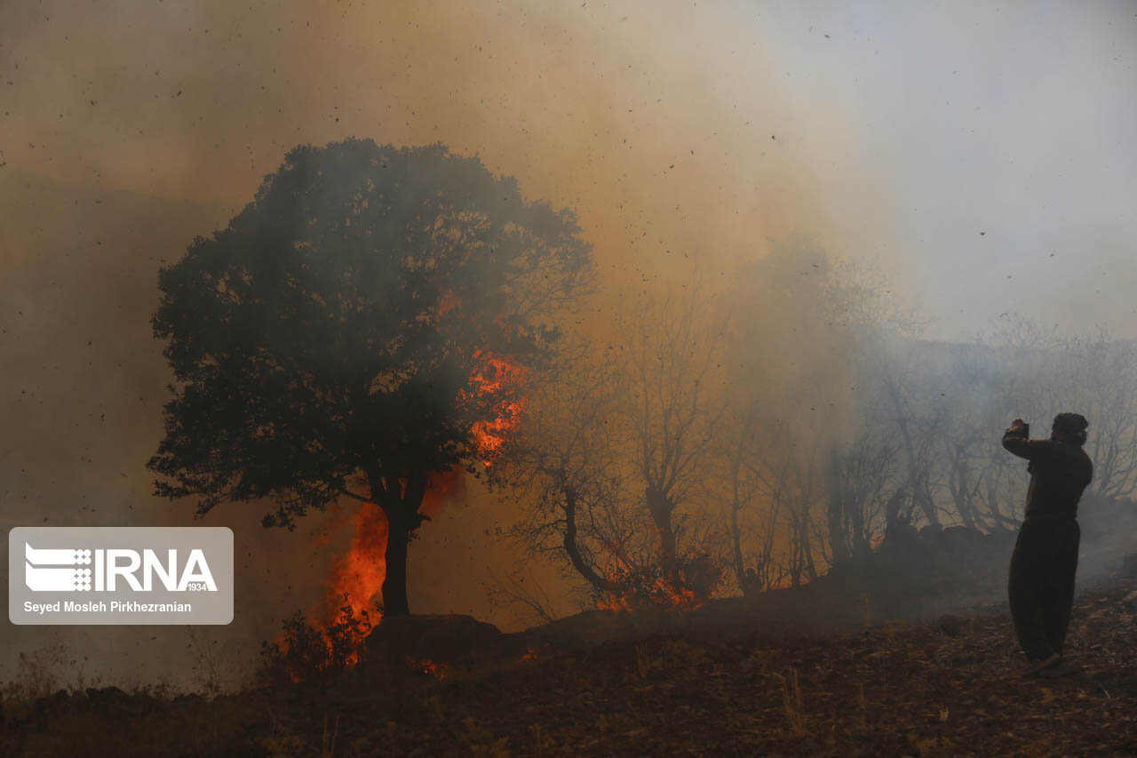 ۲۰ هکتار از مراتع و جنگل شهرستان اندیکا در آتش سوخت