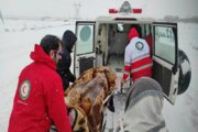 عملیات نجات مادران باردار گرفتار در برف و کولاک مهاباد