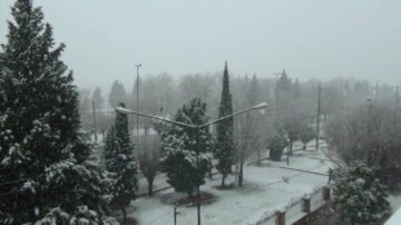 بارش برف در شهرستان گیلانغرب و بخش گواور