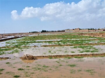 بازدید معاون استاندار مناطق سیل زده شهرستان سرایان