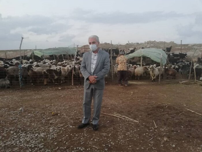 توسعه عمرانی گچساران در دولت سیزدهم به روایت آمار