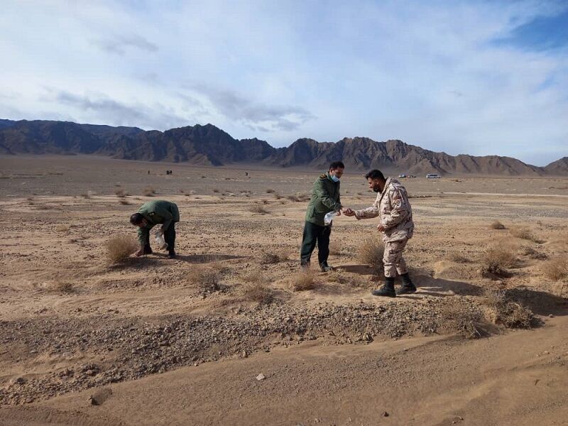 پویش بذرکاری و نهالکاری در ابرکوه اجرا شد