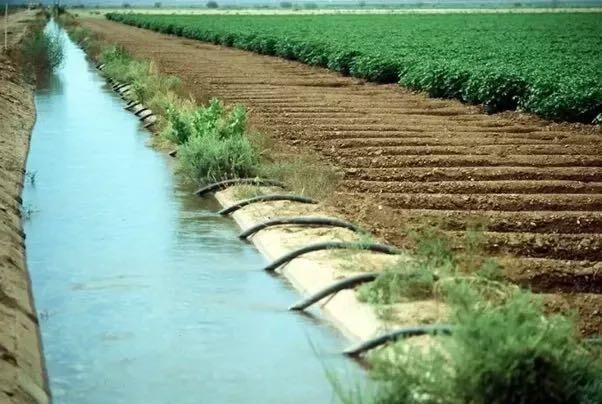 سالانه ۴۰ میلیارد تومان از اعتبارات جاری صرف تعمیر شبکه‌های آبیاری اصفهان می‌شود 