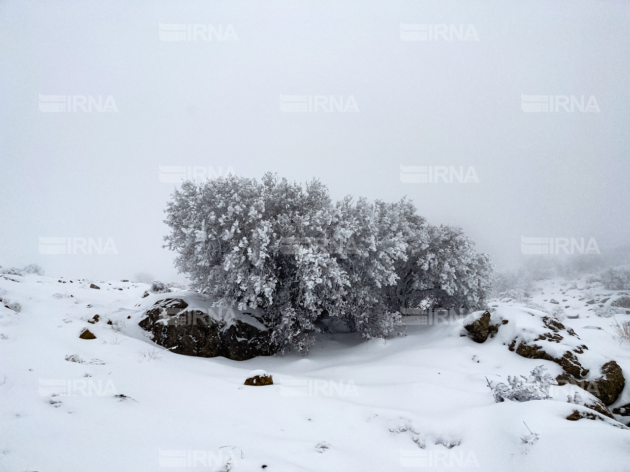 سامانه‌ بارشی آذربایجان‌غربی را فرا گرفت