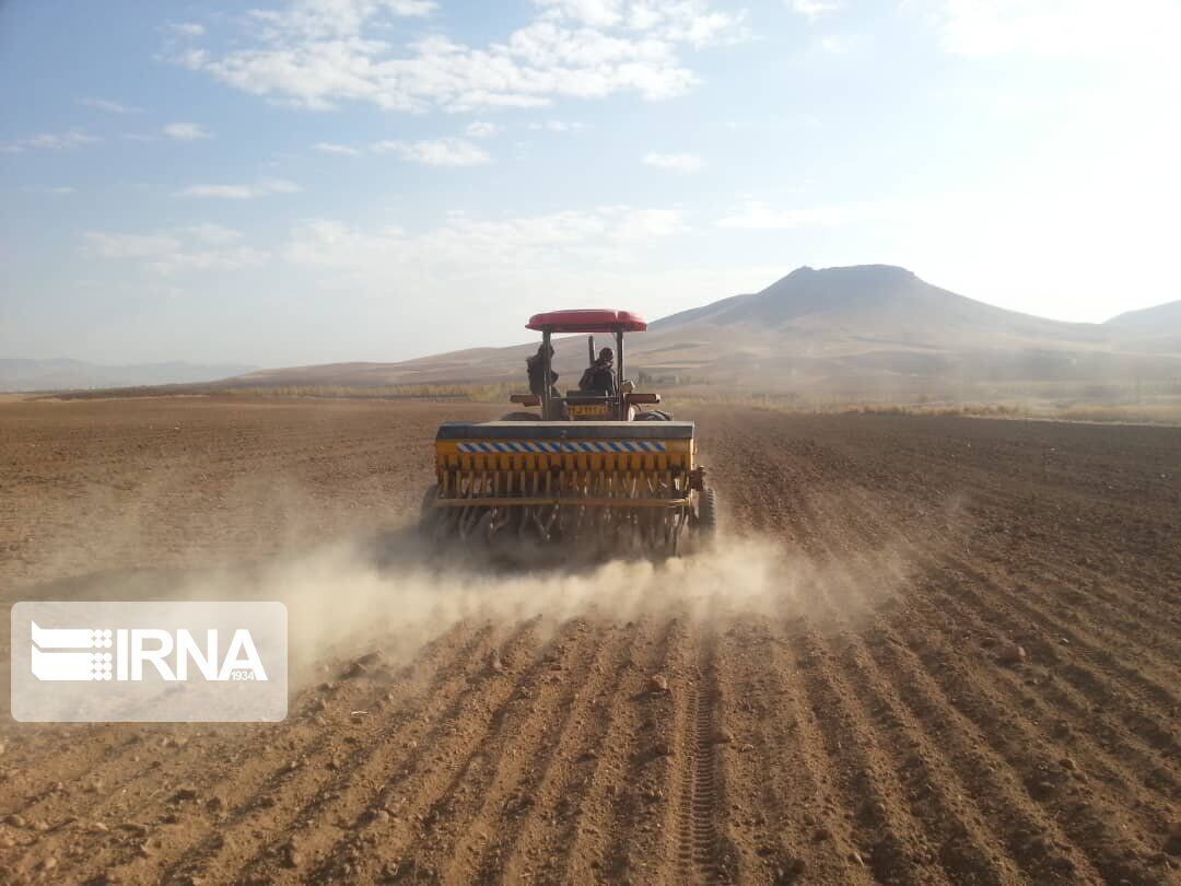 تحقق ۹۱ درصدی طرح جهش تولید در دیمزارهای قزوین