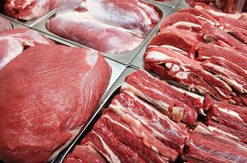 قیمت‌های فعلی بازار گوشت قرمز کاذب است/ ۱۰ ماه توقف صادرات نداشتیم