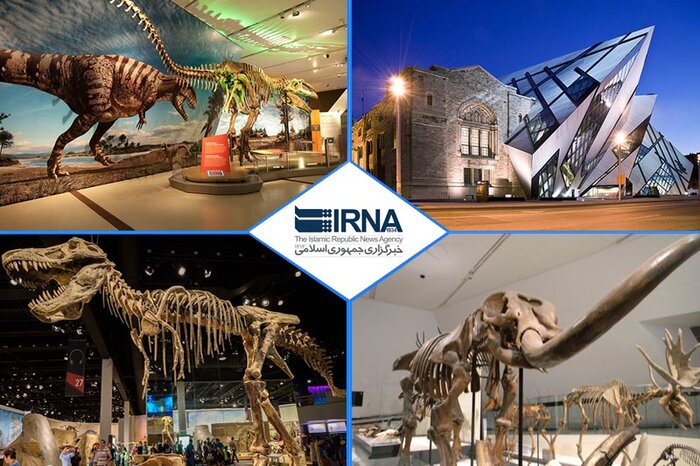 پژوهشگر دیرینهشناسی: ارزش توریستی فسیلهای مراغه تبیین شود