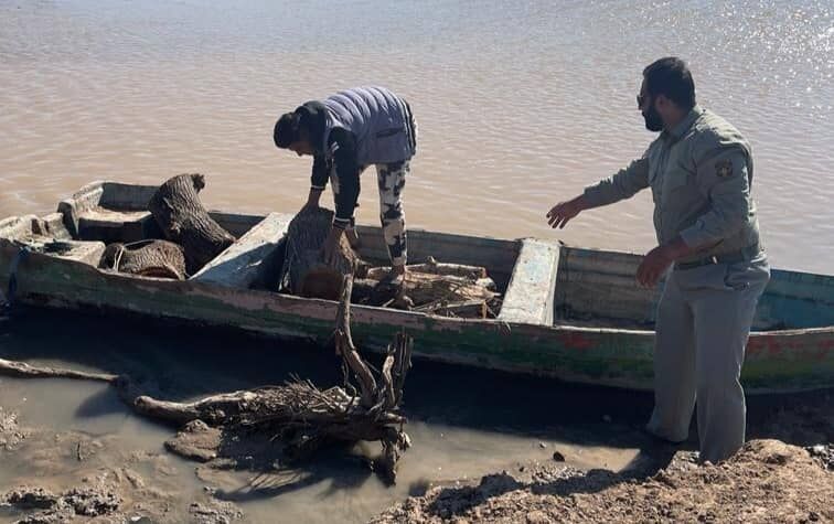 ماهیگیرانی که چوب جنگلی صید می‌کنند