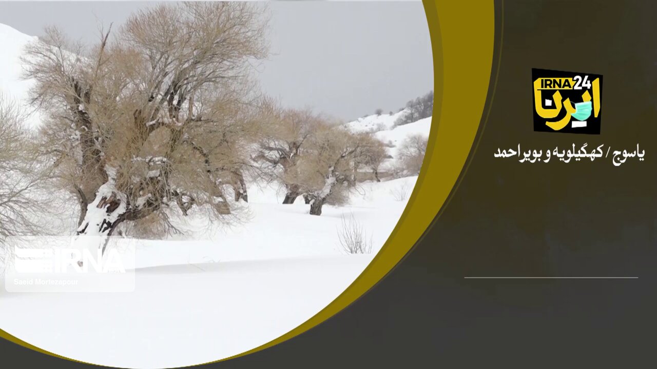 فیلم / جلوه‌های بی‌نظیر طبیعت برفی در کهگیلویه و بویراحمد 