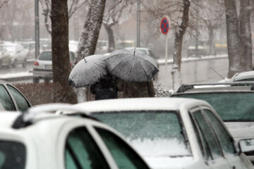 بارش سنگین برف در کردستان، تردد در گردنه ها فقط با زنجیر چرخ