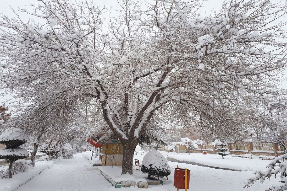 متوسط بارشهای امسال در کردستان پنج درصد افزایش یافت متوسط بارشهای امسال در کردستان پنج درصد افزایش یافت