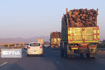 فرمانده یگان حفاظت سازمان منابع طبیعی: حمل چوب بدون مجوز الکترونیکی قاچاق است