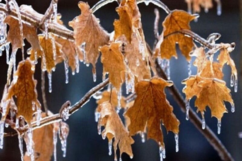 کردستان سردترین شب امسال خود را سپری کرد کردستان سردترین شب امسال خود را سپری کرد