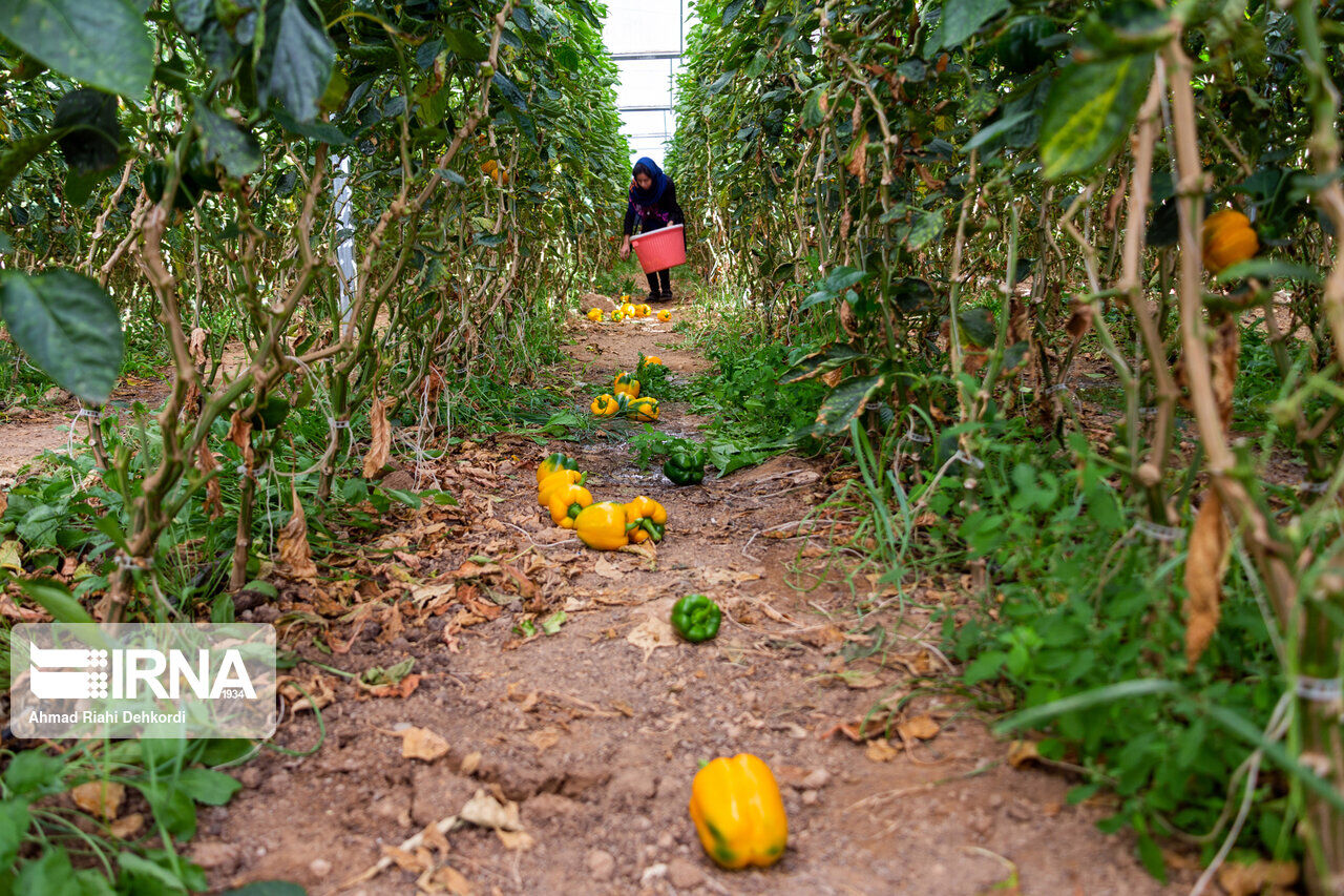 از تلاش برای رونق بازارچههای مرزی تا افزایش بودجه عمرانی استانها در سال ۱۴۰۱