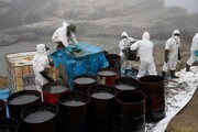 فاجعه زیست‌محیطی در انتظار پرو؛ لکه نفتی ناشی از فوران آتشفشان تونگا