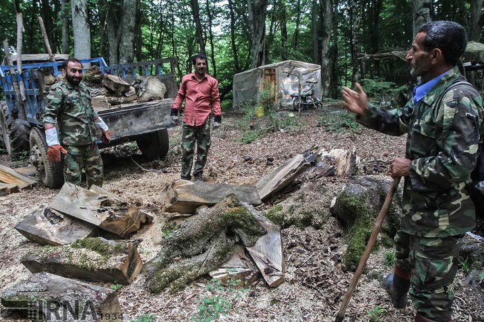 دلشوره جنگلبانان از متخلفان؛ جان نگهبانان طبیعت در خطر است