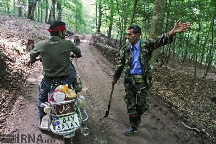 دلشوره جنگلبانان از متخلفان؛ جان نگهبانان طبیعت در خطر است