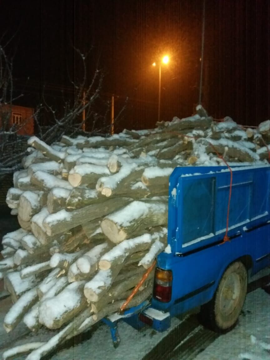عاملان قطع غیرمجاز درختان در قره قشلاق بناب دستگیر شدند