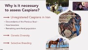 نخستین کارگاه بین المللی آموزش ارزیابی اسب کاسپین در البرز برگزار شد