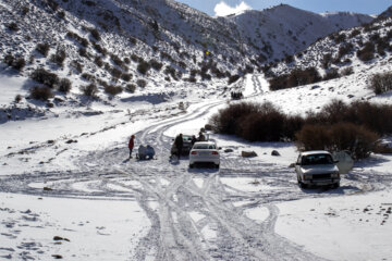 برف سمنان