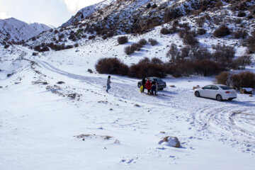 برف سمنان