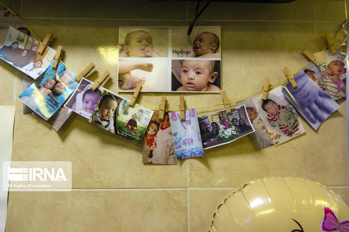 افزایش ازدواج و نرخ تولد در قزوین از پیامدهای مثبت روزهای کرونایی