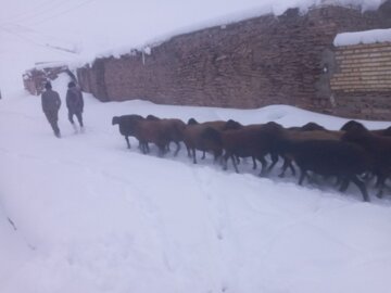 محورهای روستایی تکاب همچنان گرفتار برف و کولاک