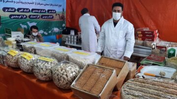 نمایشگاه صنایع دستی و سوغات در شاهرود