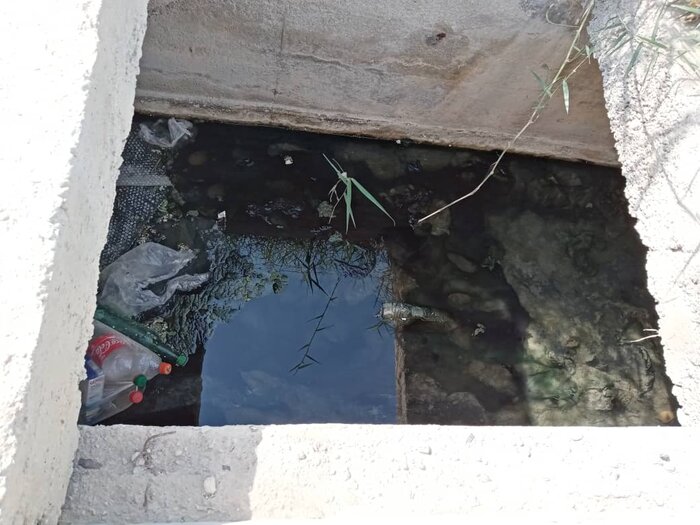 تداوم انتظار ساکنان محلههای "تنگک" بوشهر برای حل مساله فاضلاب