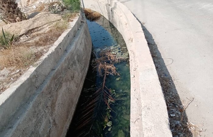 تداوم انتظار ساکنان محلههای "تنگک" بوشهر برای حل مساله فاضلاب