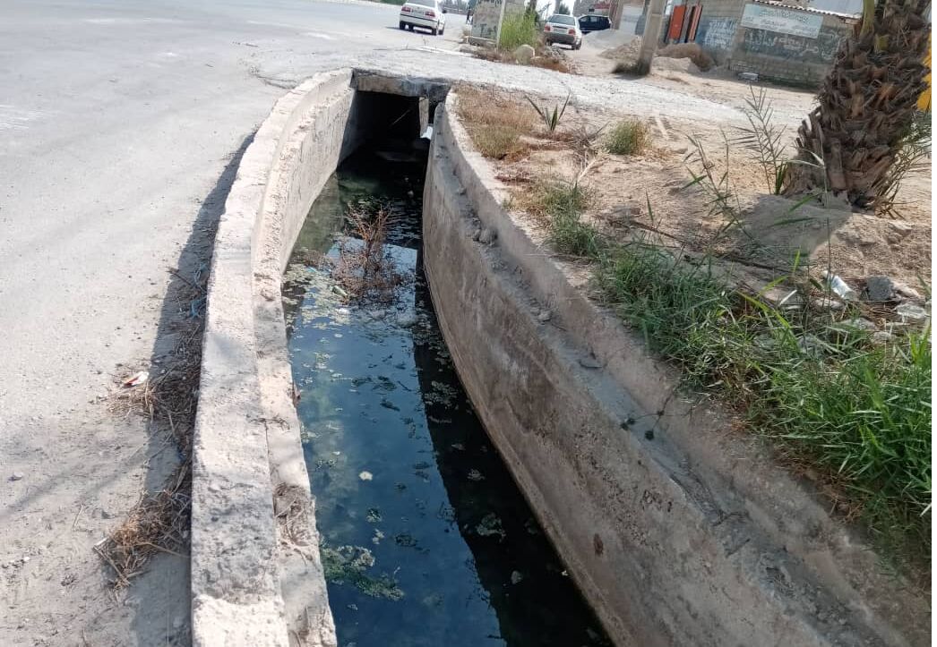 تداوم انتظار ساکنان محلههای "تنگک" بوشهر برای حل مشکل فاضلاب