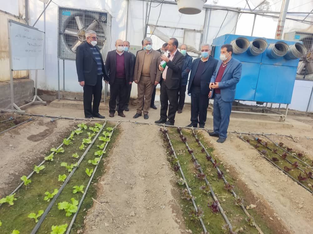 قائم مقام وزیر جهاد کشاورزی: ظرفیت فعالیت در حوزه باغبانی کشور بالا است