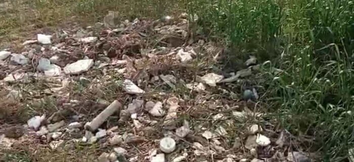 خطری به نام پسماند عفونی و خانگی در زمینهای کشاورزی گناوه 2